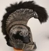French Garde du Corps du Roi Model 1814 Helmet Visuel 10
